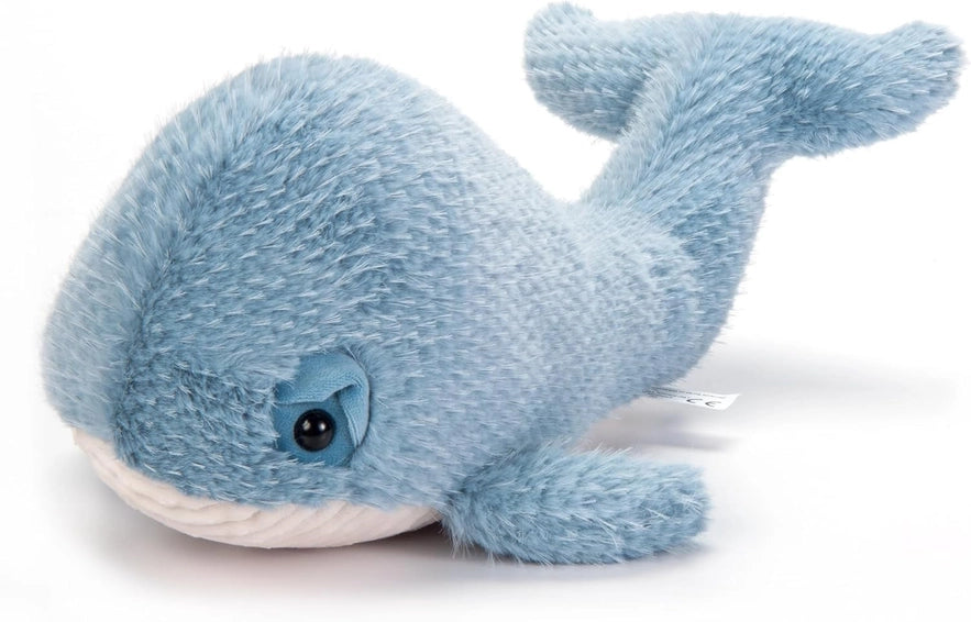 Blue Whale