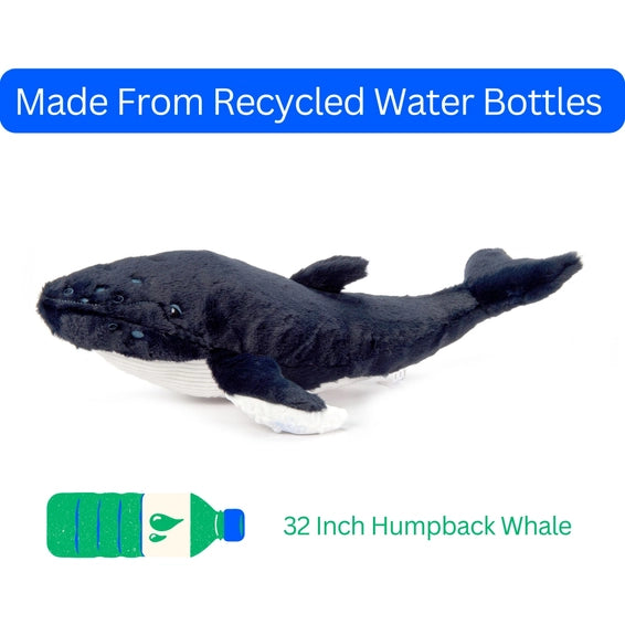 Humpback Whale