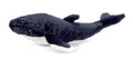 Humpback Whale