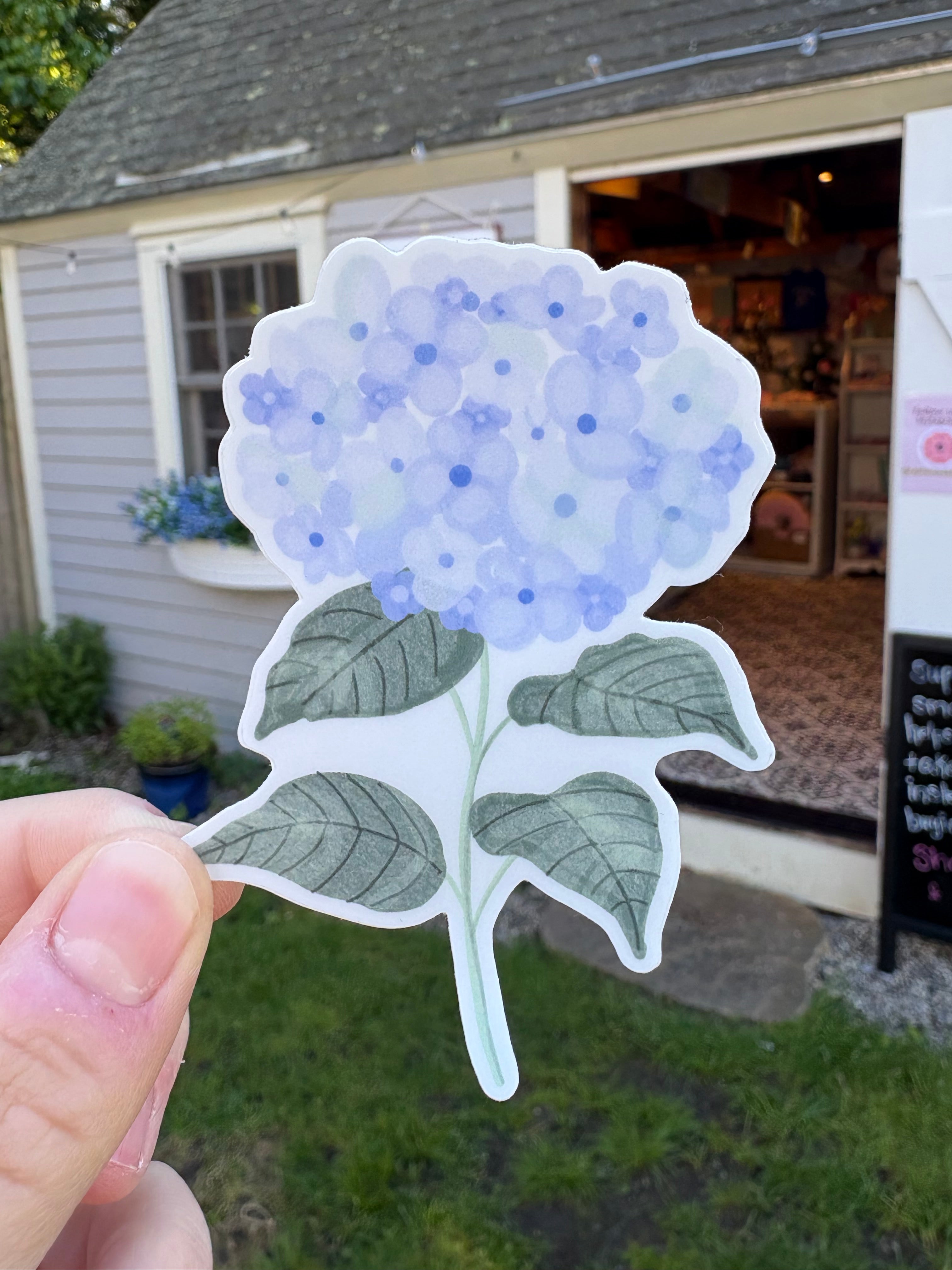 Hydrangea Sticker
