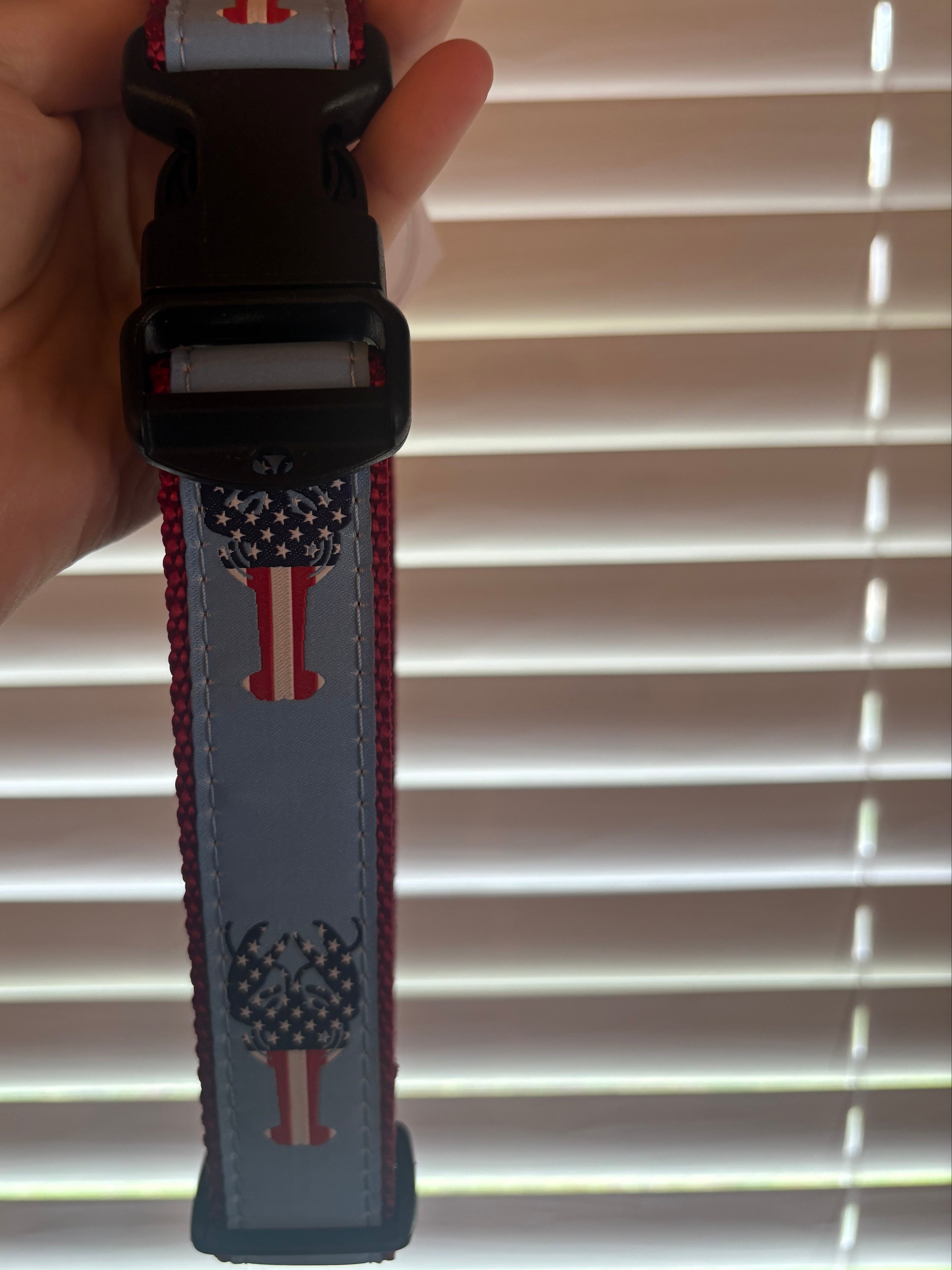 Dog Collars