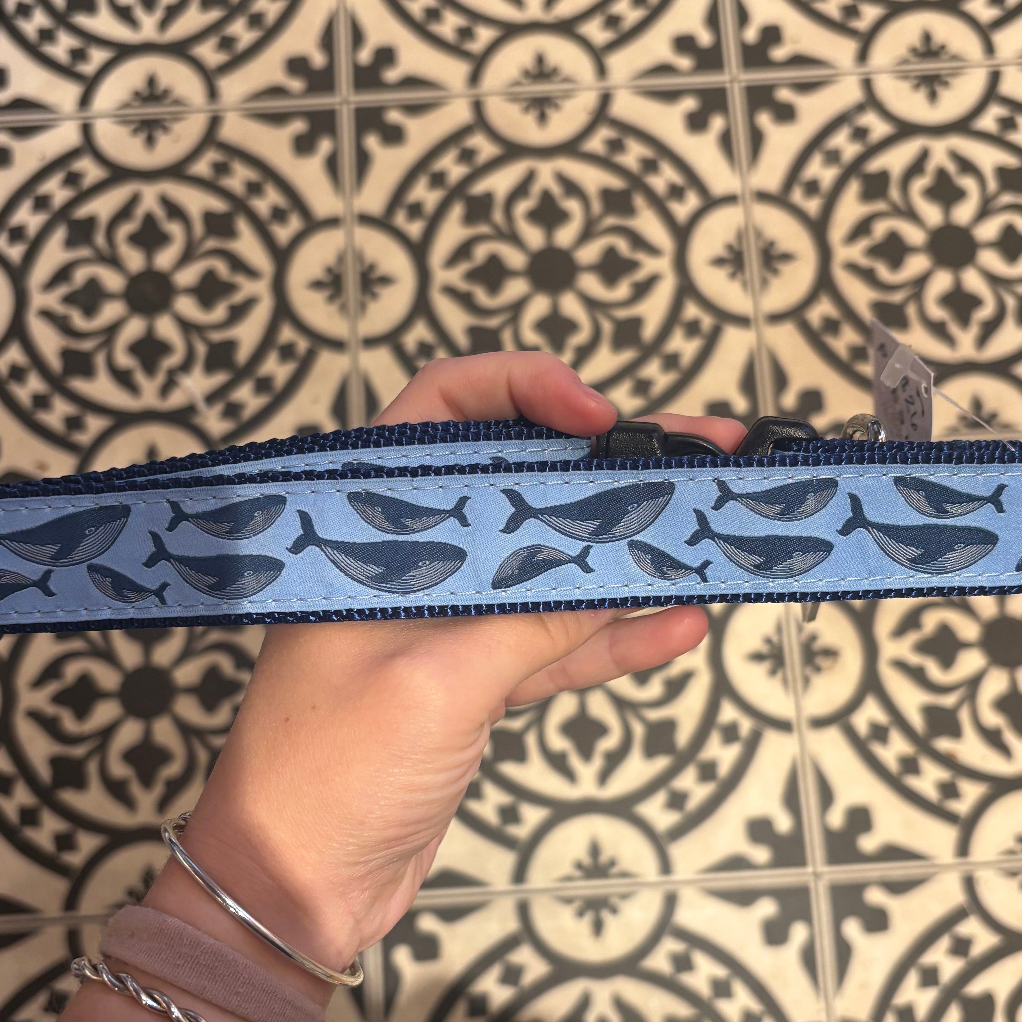 Dog Collars