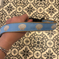 Dog Collars