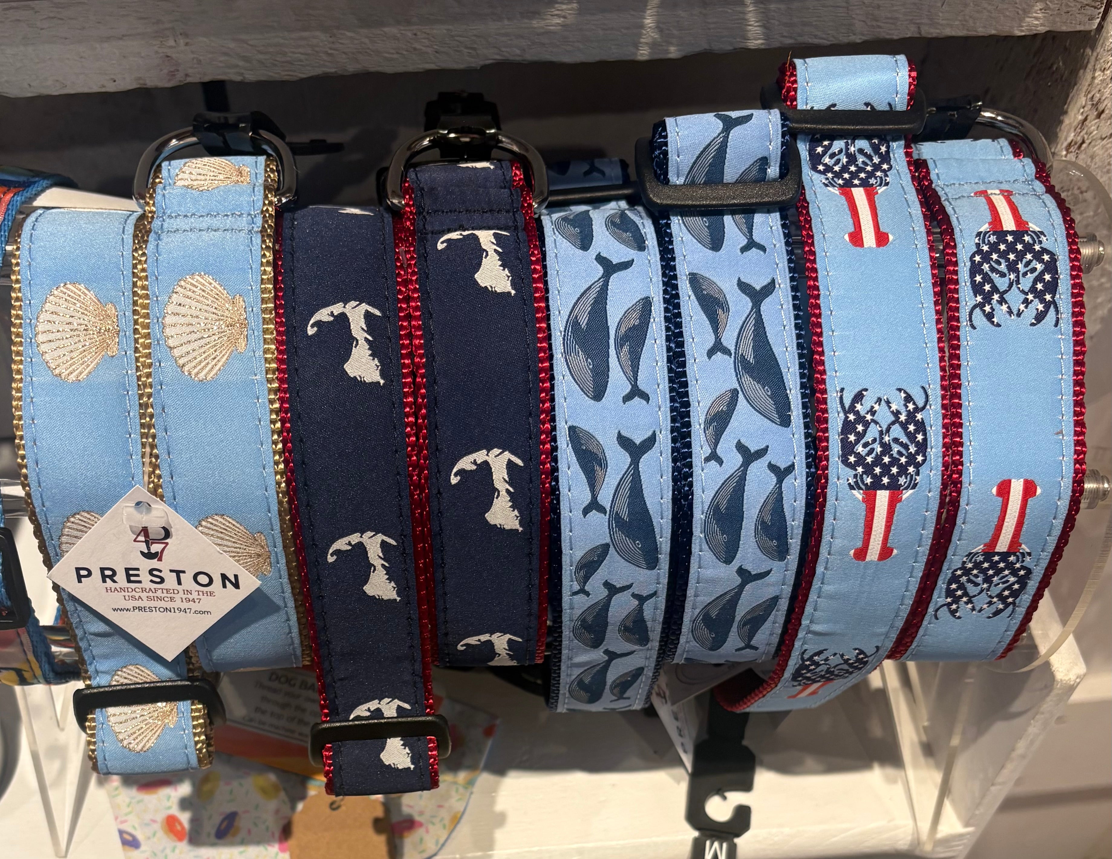 Dog Collars