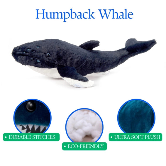 Humpback Whale