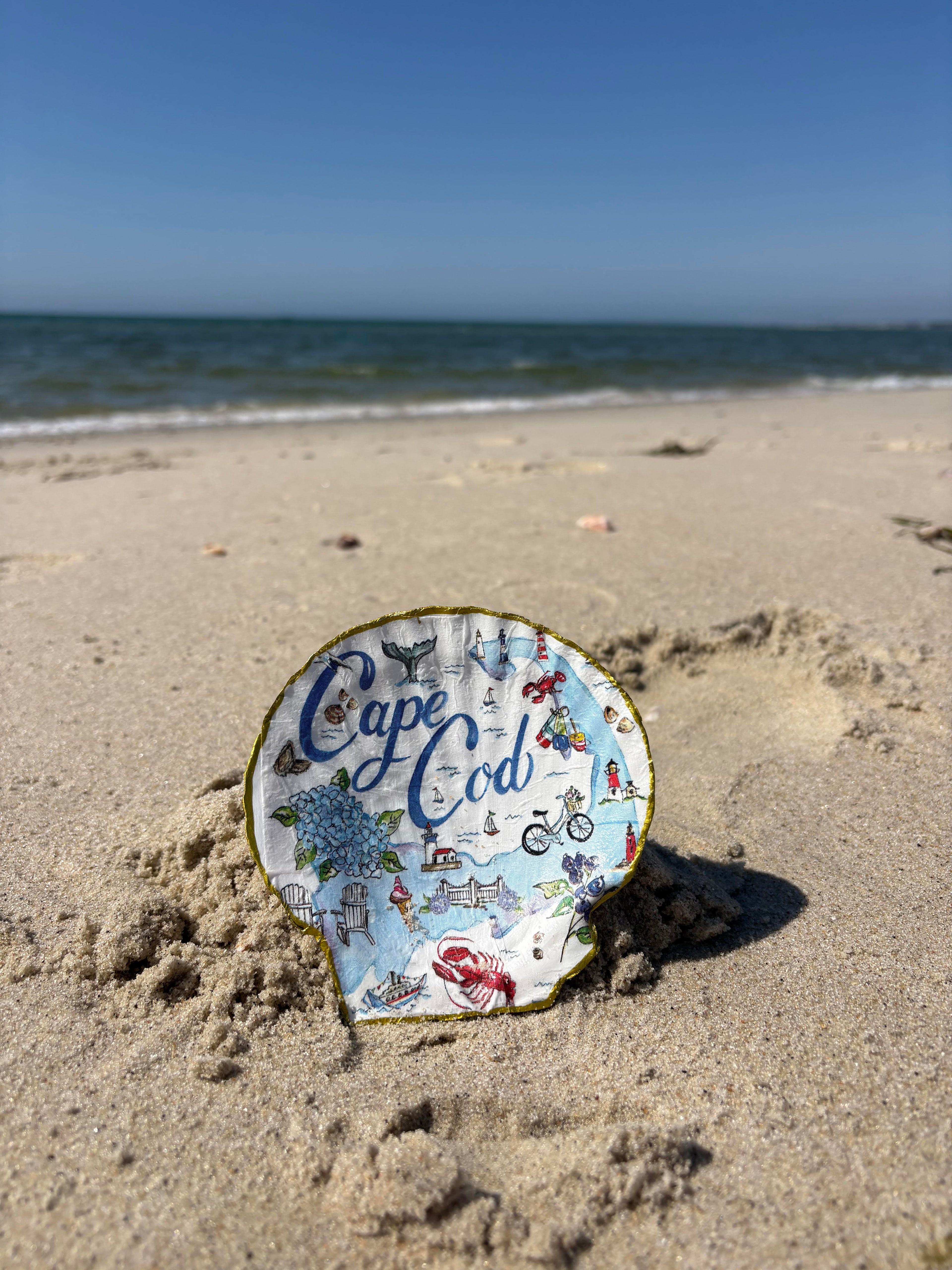 Cape Cod Shell